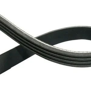 Pasek klinowy wielorowkowy KAVO PARTS DMV-1033 Szybka wysyłka