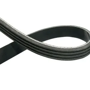 Pasek klinowy wielorowkowy KAVO PARTS DMV-1530 Tylko do końca tygodnia