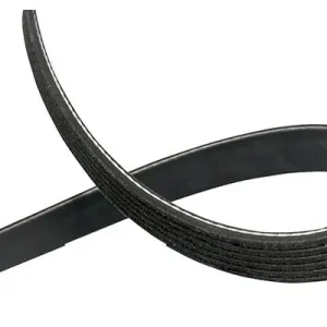 Pasek klinowy wielorowkowy KAVO PARTS DMV-5528 Zniżka