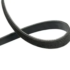 Pasek klinowy wielorowkowy KAVO PARTS DMV-5547 Wyjątkowa oferta