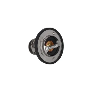 Szybka wysyłka Termostat, płyn chłodzący KAMOKA 7710103