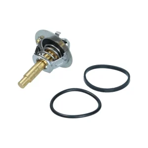 Termostat, płyn chłodzący KAMOKA 7710175 Szybka wysyłka