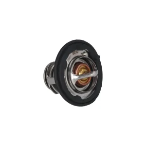 Zamów teraz Termostat, płyn chłodzący KAMOKA 7710256