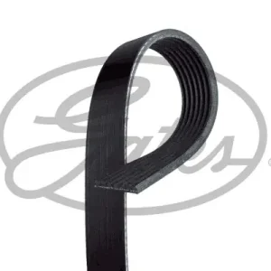 Wysoka jakość PASEK WIELOROWK. FORD