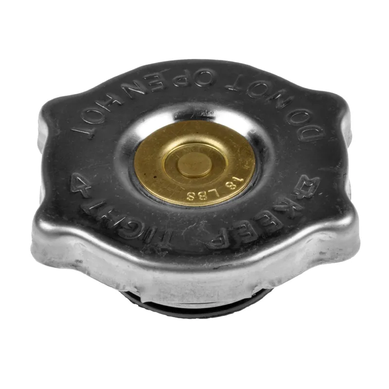 Zamów teraz Korek chłodnicy BLUE PRINT ADA109901 55116901AA