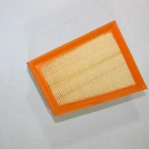 Szybka dostawa FILTR POWIETRZA