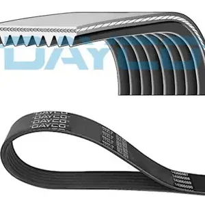 Bezpieczne zakupy Pasek wielorowkowy klinowy DAYCO 8PK2440